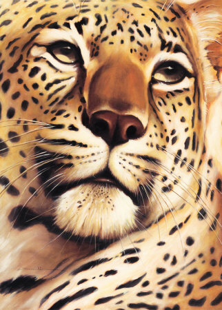 Rest On Serengeti by Arkadiusz Warminski Pricing Limited Edition Print image