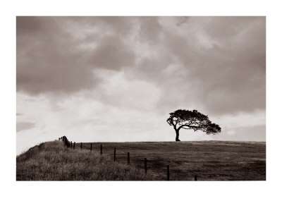 Windswept Landscape by Ryuijie Pricing Limited Edition Print image