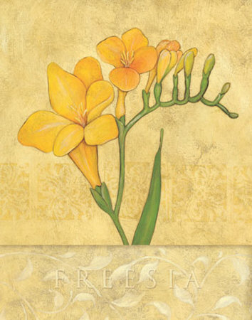 Freesia by Stephanie Marrott Pricing Limited Edition Print image