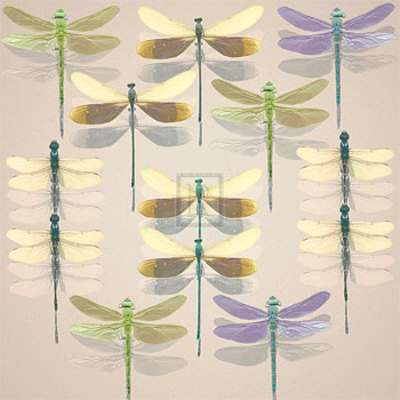 Floating Dragonflies Ii by Katja Marzahn Pricing Limited Edition Print image