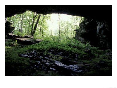 Entrance To Russell Cave National Monument, Alabama, Usa by William Sutton Pricing Limited Edition Print image