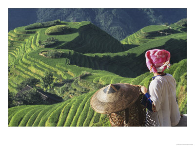 Zhuang Girl With Rice Terraces, China by Keren Su Pricing Limited Edition Print image