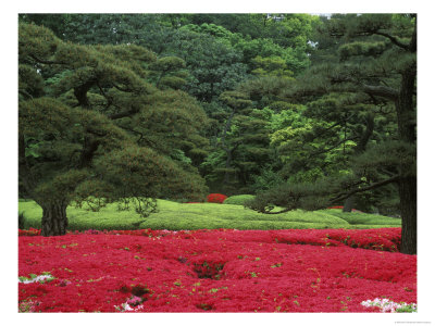 Imperial Palace Garden, Tokyo, Japan by Rob Tilley Pricing Limited Edition Print image