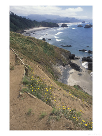 Cannon Beach, Lewis And Clark Trail, Ecola State Park, Oregon, Usa by Connie Ricca Pricing Limited Edition Print image