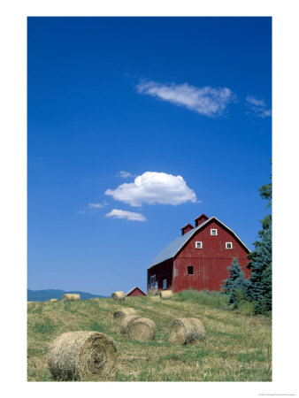 Red Barn With Rolled Hay Bales, Potlatch, Idaho, Usa by Julie Eggers Pricing Limited Edition Print image
