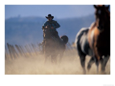 Cowboy Riding Horseback, Oregon, Usa by William Sutton Pricing Limited Edition Print image