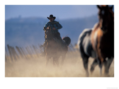 Cowboy Riding Horseback, Oregon, Usa by William Sutton Pricing Limited Edition Print image