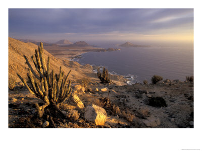 Desert Coast And Pacific Ocean, Atacama Desert, Pan De Azucar National Park,Chile by Andres Morya Pricing Limited Edition Print image