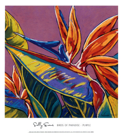 Birds Of Paradise, Purple by Sally Evans Pricing Limited Edition Print image