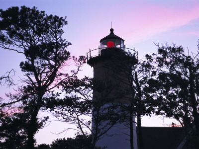 Silhouetted Trees And Nauset Lighthouse At Twilight by Darlyne A. Murawski Pricing Limited Edition Print image