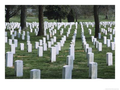Rows Of Tombstones Line The Fields Of Arlington National Cemetery by Raymond Gehman Pricing Limited Edition Print image