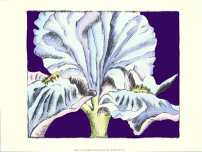 Iris Ii by Nancy Slocum Pricing Limited Edition Print image
