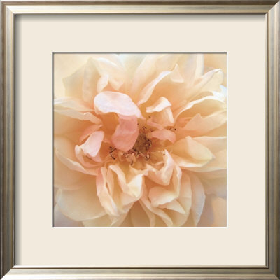 Promise Rose by Rebecca Swanson Pricing Limited Edition Print image