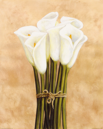 White Cala Lilies In String by Cuca Garcia Pricing Limited Edition Print image