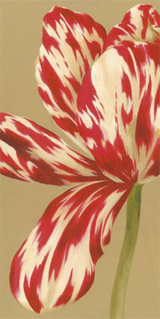 Red And White Flower by Marie Perpinan Pricing Limited Edition Print image