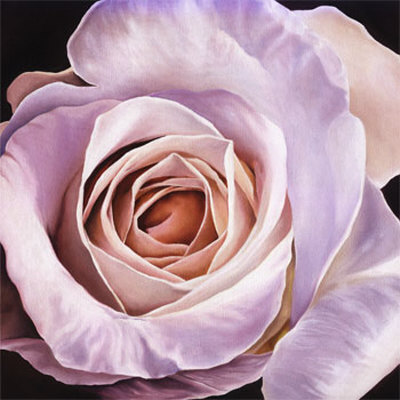 White Rose At Dusk by Scott Walker Pricing Limited Edition Print image