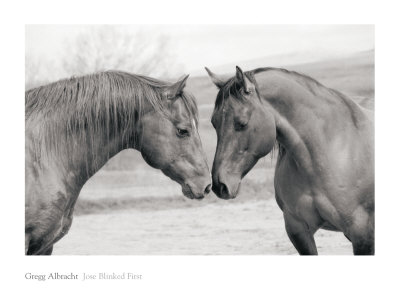 Jose Blinked First by Gregg Albracht Pricing Limited Edition Print image