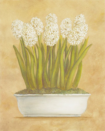 White Hyacinth by Cuca Garcia Pricing Limited Edition Print image