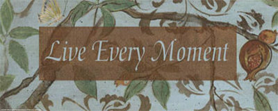 Live Every Moment by Smith-Haynes Pricing Limited Edition Print image