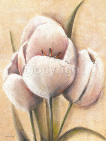 Tulipes Cremes by Caroline Wenig Pricing Limited Edition Print image