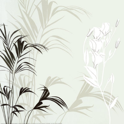 White Flower Fern by Kate Knight Pricing Limited Edition Print image