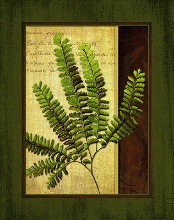 Fern Grotto Ii by Delphine Corbin Pricing Limited Edition Print image