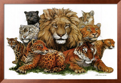 Great Cats by Peter Kull Pricing Limited Edition Print image