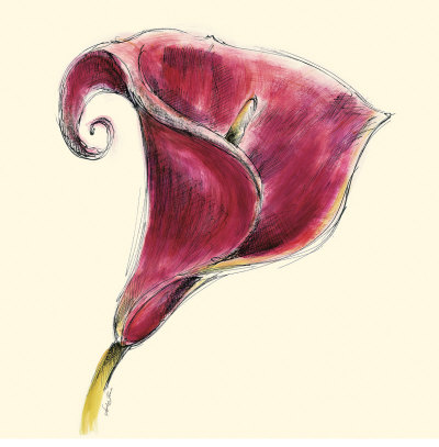 Plum Calla by Sophia Flores Pricing Limited Edition Print image