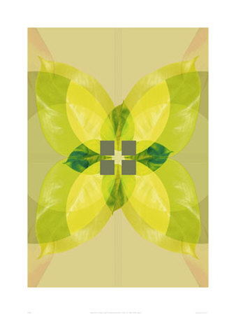 Viriditas I, V2 by Paul Cooklin Pricing Limited Edition Print image