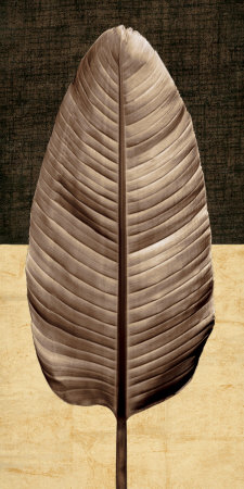 Palm Leaf Ii by John Seba Pricing Limited Edition Print image