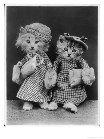 Living Kittens Dressed Up And Carrying Parcels by Harry Whittier Pricing Limited Edition Print image