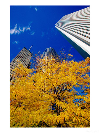 Aon And Prudential Towers, Chicago, United States Of America by Richard Cummins Pricing Limited Edition Print image