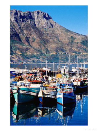 Fishing Boats In Hout Bay Marina, Cape Town, South Africa by Craig Pershouse Pricing Limited Edition Print image