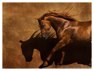 Adobe Dancer by Robert Dawson Pricing Limited Edition Print image