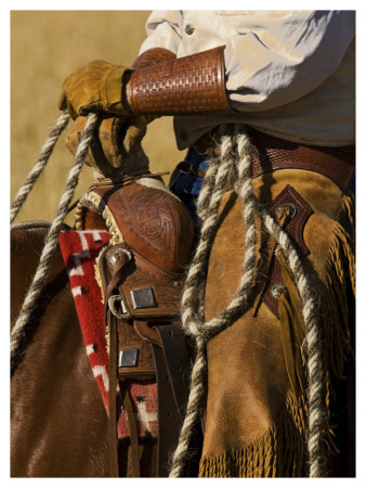 Buckaroo Ii by Robert Dawson Pricing Limited Edition Print image