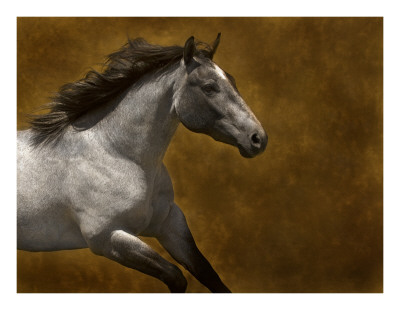 Steel Runner by Robert Dawson Pricing Limited Edition Print image