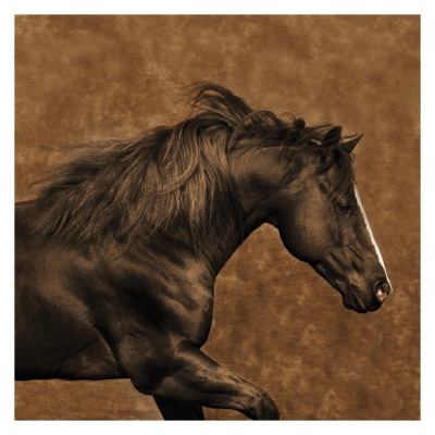 Eastward Gallop by Robert Dawson Pricing Limited Edition Print image