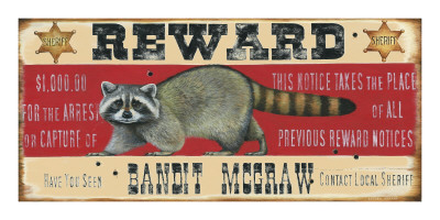 Bandit Mcgraw by Lesley Hallas Pricing Limited Edition Print image