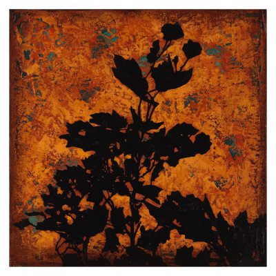Botanical Fusion V by Debbie Angell Pricing Limited Edition Print image