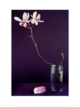 So Japan by Amelie Vuillon Pricing Limited Edition Print image