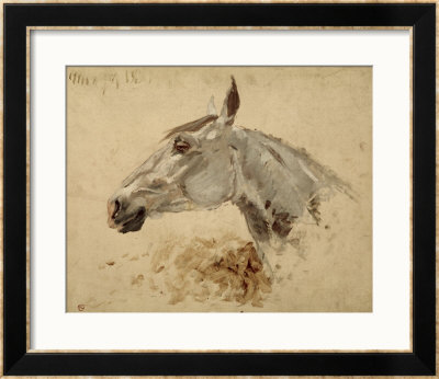Testo Di Cavallo by Henri De Toulouse-Lautrec Pricing Limited Edition Print image