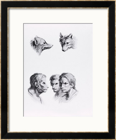 Similarities Between The Head Of A Wolf And A Man by Charles Le Brun Pricing Limited Edition Print image
