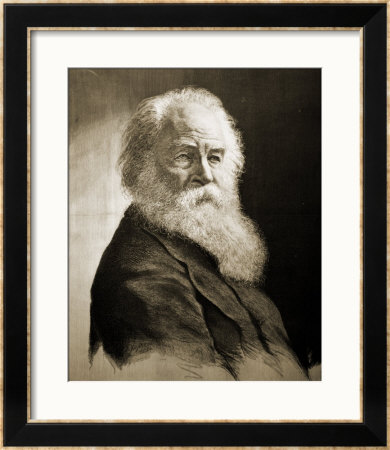 Walt Whitman by Moritz Klinkicht Pricing Limited Edition Print image