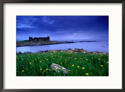 Flag Iris In Bloom At Rue Point Near Ruins Of Coastguard Station, Rathin Island, Northern Ireland by Gareth Mccormack Pricing Limited Edition Print image
