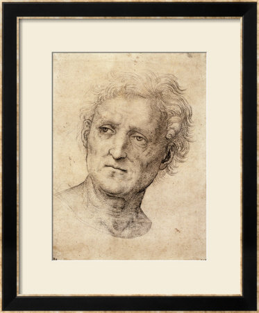 Head Of A Man, Possibly Bramante by Raphael Pricing Limited Edition Print image