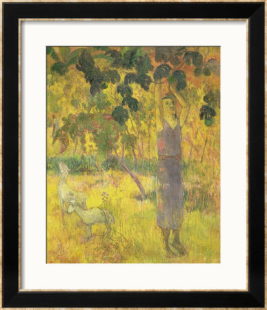 Man Picking Fruit From A Tree, 1897 by Paul Gauguin Pricing Limited Edition Print image