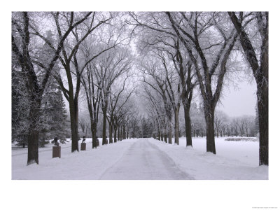 Winnipeg Manitoba, Canada Winter Scenes by Keith Levit Pricing Limited Edition Print image
