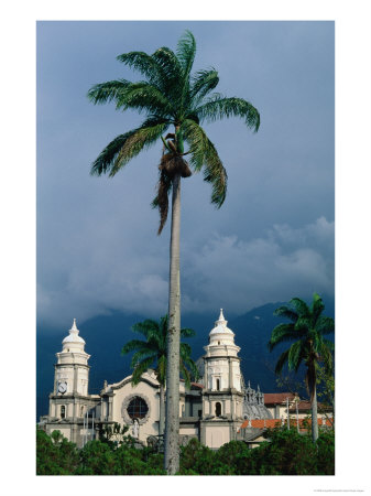 Cathedral Of Merida And Palm Tree, Merida, Venezuela by Krzysztof Dydynski Pricing Limited Edition Print image