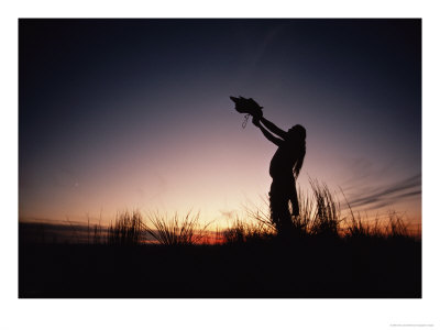 A Sioux Medicine Man Offers A Ritual Prayer To The Buffalo by Chris Johns Pricing Limited Edition Print image