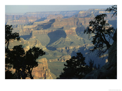 View Of The Grand Canyon From The South Rim In Arizona by Bill Hatcher Pricing Limited Edition Print image